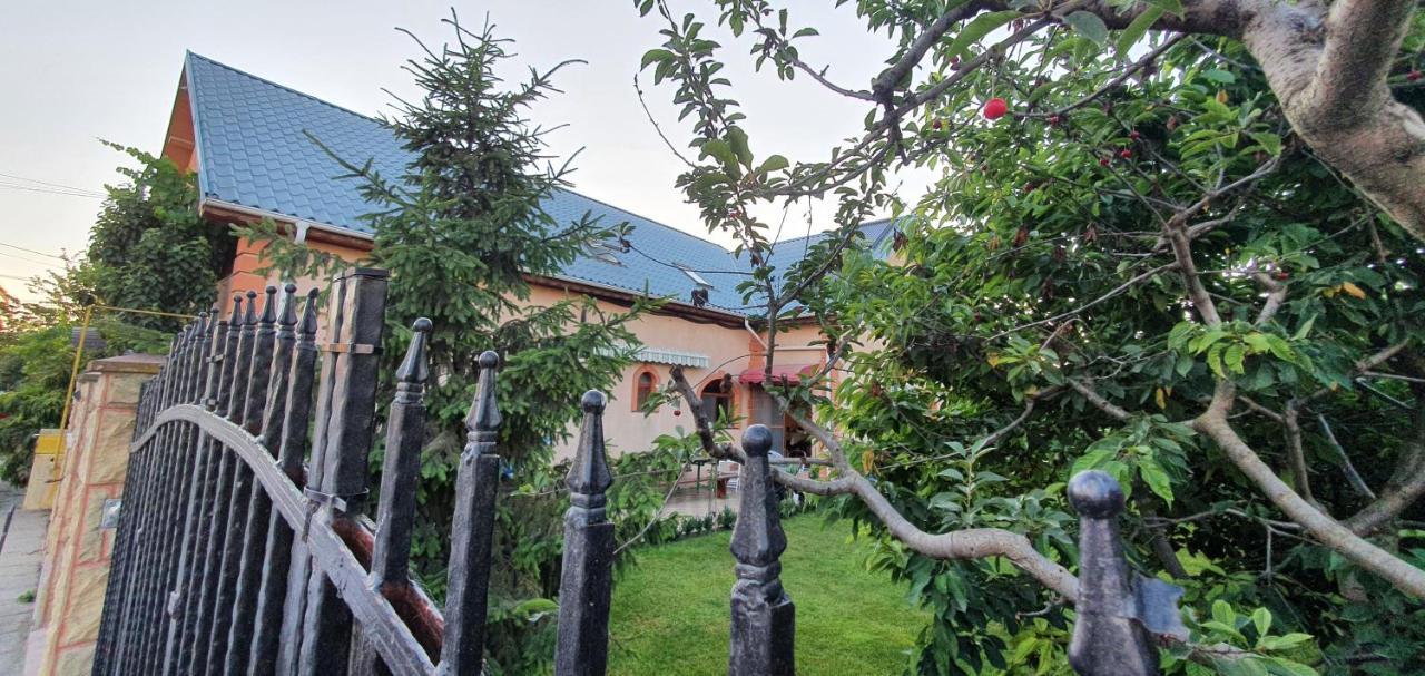 Vila Vasile Năvodari Exterior foto